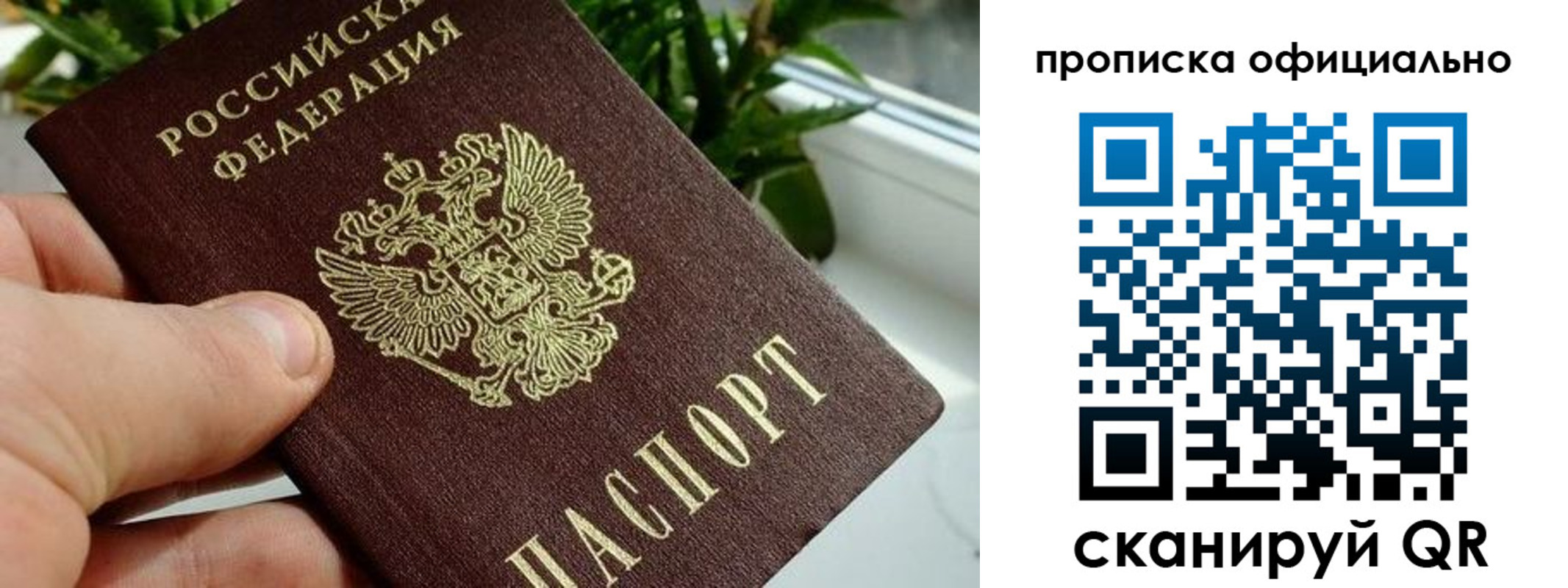 прописка поиск в Самарской области